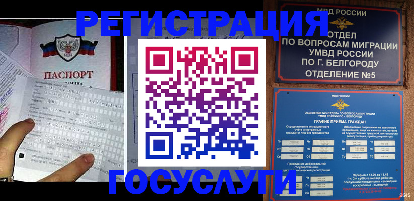 временная регистрация в квартире в Коле
