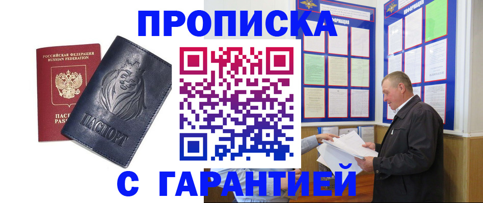 прописка поиск в Коле