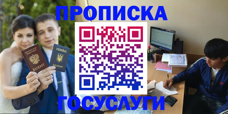 временная регистрация в Коле